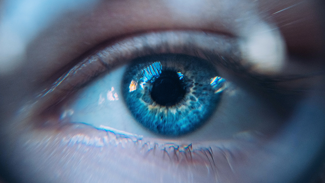 Mut zur Ehrlichkeit: Vertragen Sie die Wahrheit?