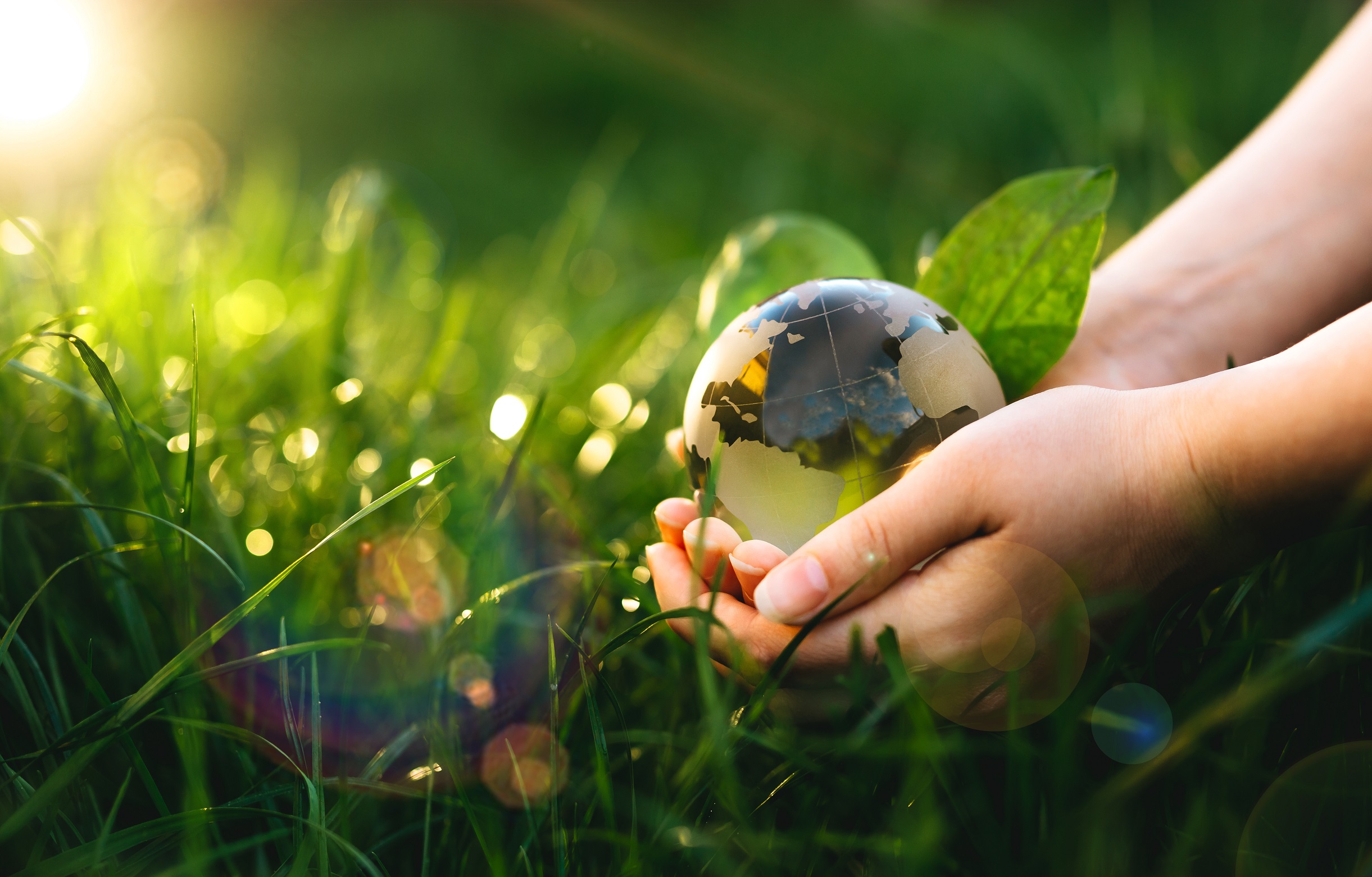 Millennial Masterminds: 6 key traits defining tomorrow’s business leaders