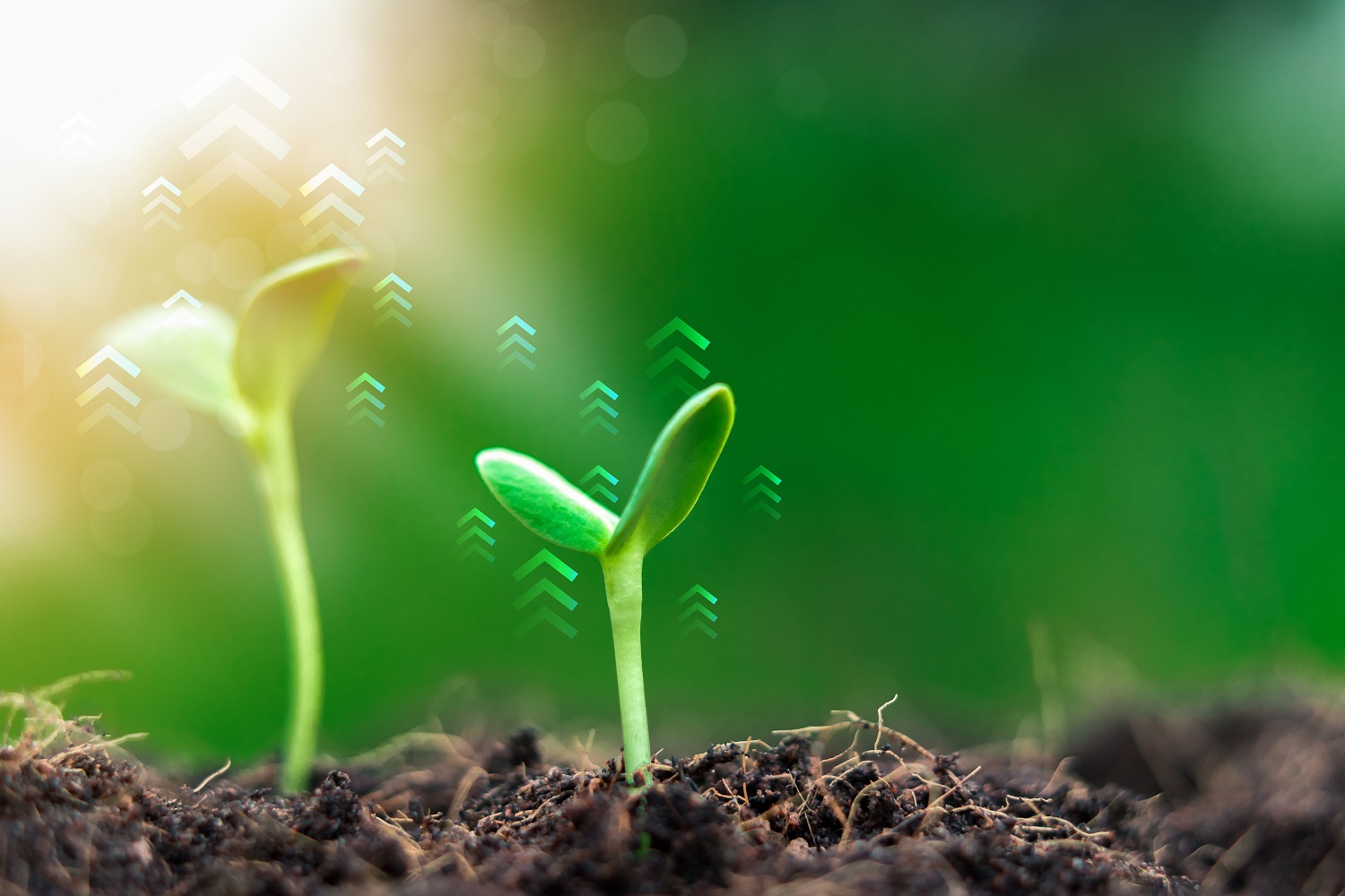 The Generational Shift: How should Millennials Prepare for the C-Suite?