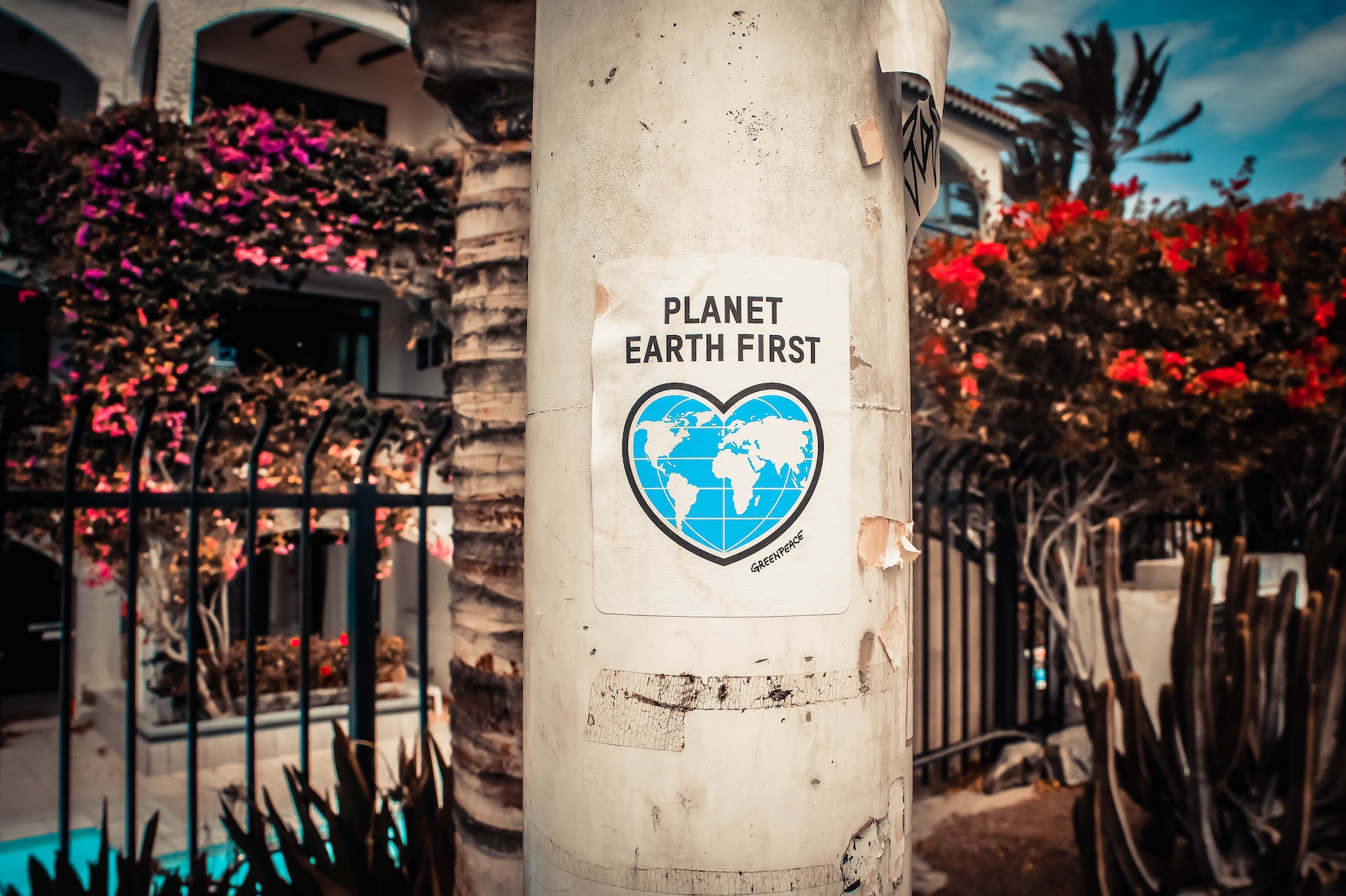 Paving the Way: How Should the Next Generation Prepare for Leadership Roles in Sustainability?
