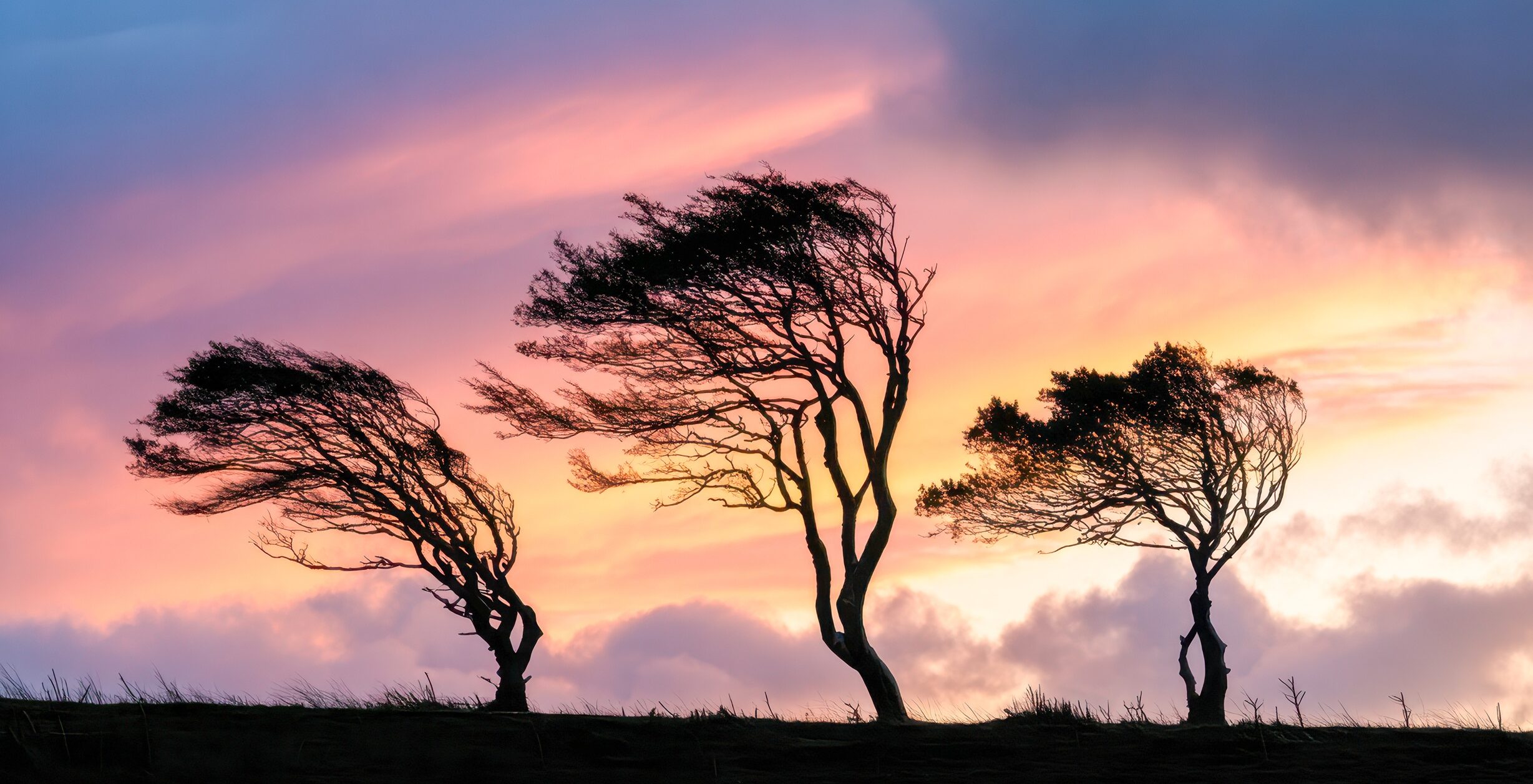 The Productive Role of Pressure in Leadership