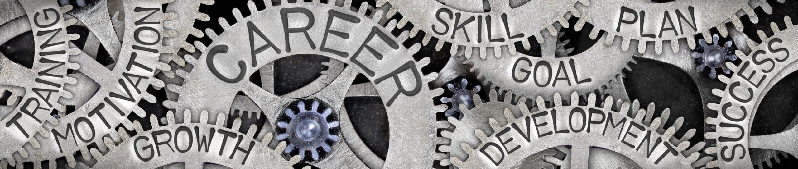 Can One Organization Still Offer a Whole Career? 