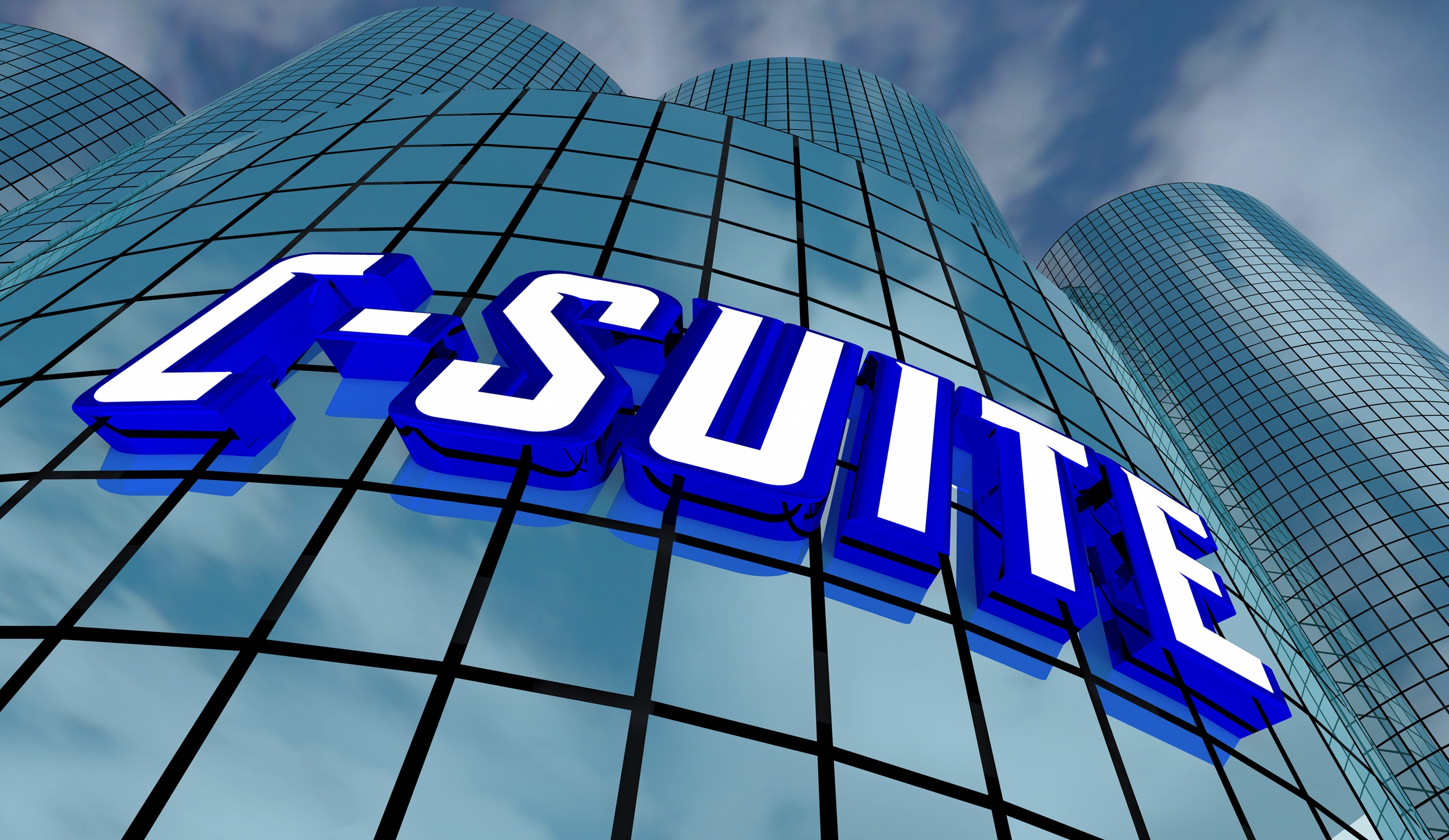 From High Performer to Enterprise Leader: What Changes at the C-Suite Level?